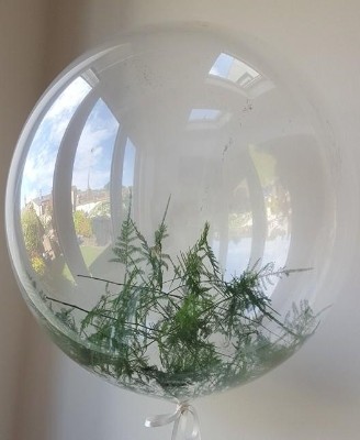 Fern filled balloon