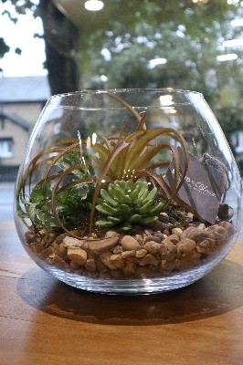 Arundel Faux Terrarium