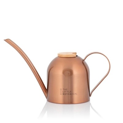 Mini Copper Watering Can