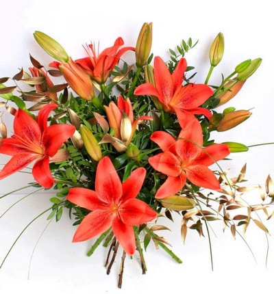 Christmas Eco Lilies
