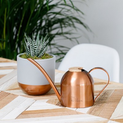 Mini Copper Watering Can