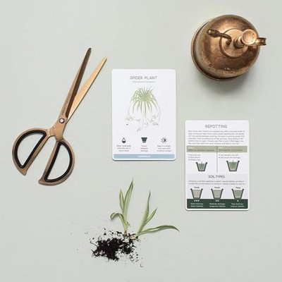 Plant Care Box Set