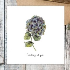 Thinking of You Card (Hydrangea)