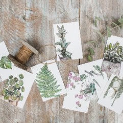 Botanical Notecards