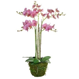 Mossed Faux Pink Orchid
