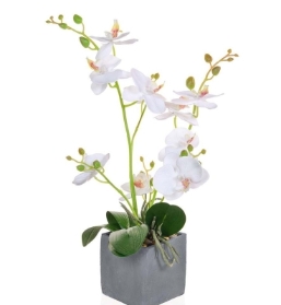 Faux Orchid in Slate