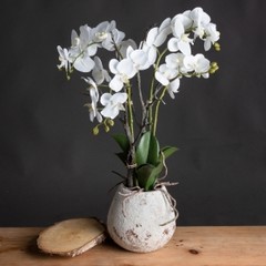 Faux Orchid in Stone Pot