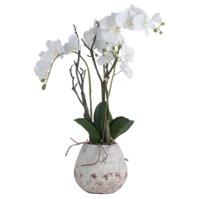 Faux Orchid in Stone Pot