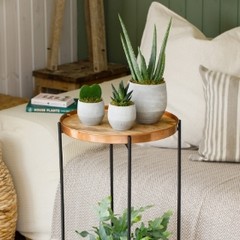 Mango Plant Stand