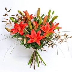Christmas Eco Lilies