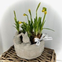 Spring Bunny Planter