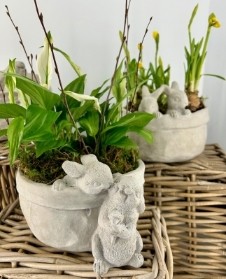 Spring Bunny Planter